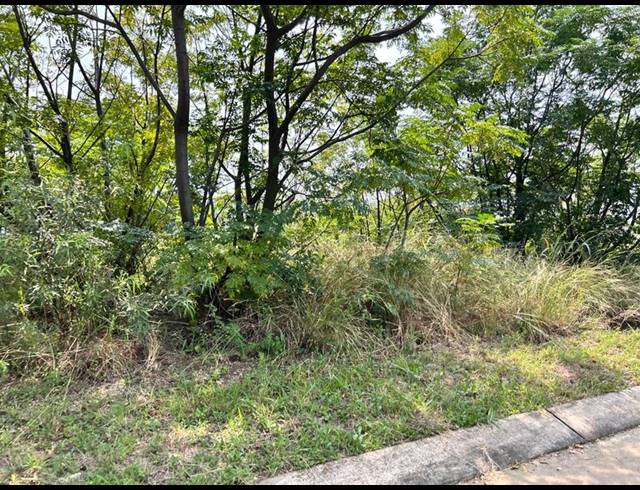 LAND FOR SALE IN EVERGLADES ESTATE